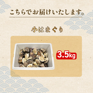 活 はまぐり 約3.5kg (40-60gサイズ) はまぐり 蛤