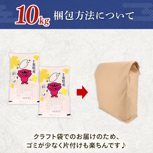 【令和7年産】 新米 年内発送 粒すけ 10kg 【新米】