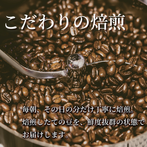 コーヒー粉 スペシャルブレンド 200g×3袋 【コーヒー粉】
