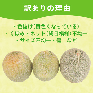 【 2026年 先行予約 】 訳あり タカミ メロン 約5.5kg 青肉【 メロン 】