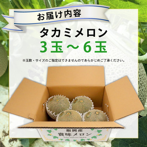 【 2026年 先行予約 】 訳あり タカミ メロン 約5.5kg 青肉【 メロン 】