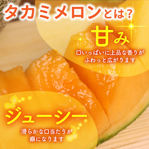 【 2026年 先行予約 】 訳あり タカミ メロン 約5.5kg 赤肉【 メロン 】