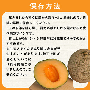 【 2026年 先行予約 】 訳あり タカミ メロン 約5.5kg 赤肉【 メロン 】