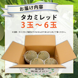 【 2026年 先行予約 】 訳あり タカミ メロン 約5.5kg 赤肉【 メロン 】