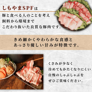 豚肉 シャブシャブ セット 約2.5kg [usn003] 豚しゃぶ