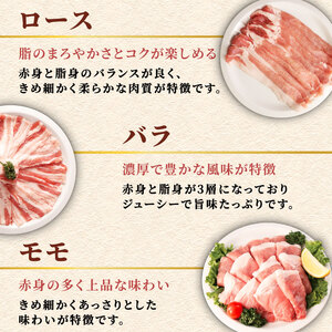 豚肉 シャブシャブ セット 約2.5kg [usn003] 豚しゃぶ