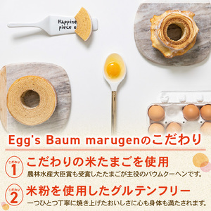 バームクーヘン 【ソフトタイプ】 バウムクーヘン