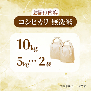 【無洗米】千葉県産コシヒカリ 10kg（5kg×2） 無洗