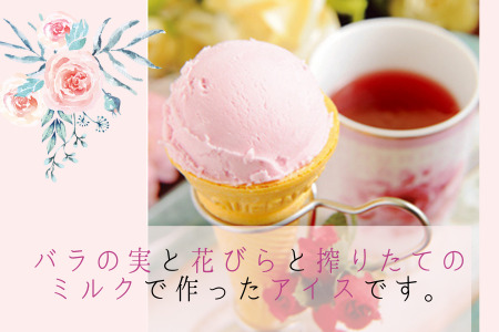バラのアイスクリーム ～谷津バラ物語第1章～