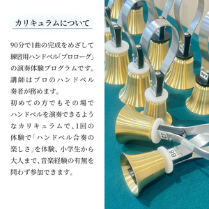 柏市発・世界に1つだけのハンドベル体験(土日祝・午後・2名様まで) 〈 音楽体験 チケット ふるさと納税 〉