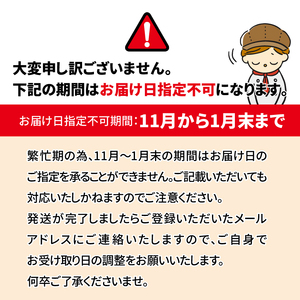 ガレット・デ・ロワ 18cm 〈 菓子 食べログ百名店 ガレットデロワ ホールケーキ 誕生日 お祝い プレゼント ギフト 正月 特別な日 フェーブ 王冠 サクサク フランス菓子 通年 〉