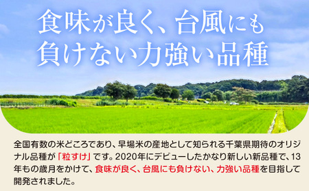 千葉県産 粒すけ 精米 2kg《90日以内に出荷予定(土日祝除く)》千葉県 勝浦市 米 お米 千葉県産 精米【配送不可地域あり】