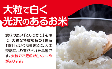 千葉県産 粒すけ 精米 2kg《90日以内に出荷予定(土日祝除く)》千葉県 勝浦市 米 お米 千葉県産 精米【配送不可地域あり】