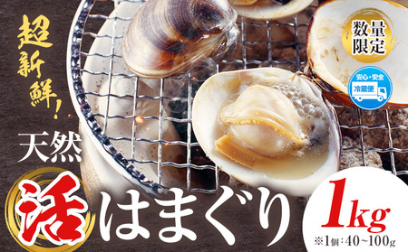 数量限定 天然 活 はまぐり 1kg 1個:40g～100g 寺田水産 《2025年7月上旬-2026年6月末頃出荷》千葉県 勝浦市 海産 貝 はまぐり【配送不可地域：離島・北海道・沖縄県・東北・中国・四国・九州】