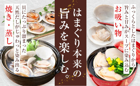 数量限定 天然 活 はまぐり 1kg 1個:40g～100g 寺田水産 《2025年7月上旬-2026年6月末頃出荷》千葉県 勝浦市 海産 貝 はまぐり【配送不可地域：離島・北海道・沖縄県・東北・中国・四国・九州】