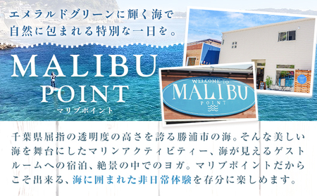 マリブポイント SUP 散歩 ペア 利用券 1枚  マリブポイント《90日以内に出荷予定(土日祝除く)》マリンスポーツ 初心者 はじめて 海 千葉県 勝浦市【配送不可地域あり】