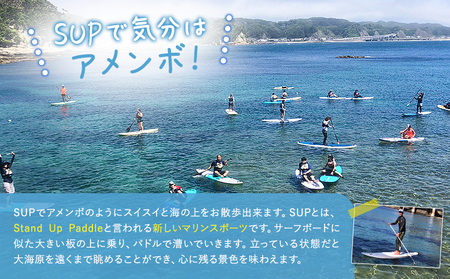 マリブポイント SUP 散歩 ペア 利用券 1枚  マリブポイント《90日以内に出荷予定(土日祝除く)》マリンスポーツ 初心者 はじめて 海 千葉県 勝浦市【配送不可地域あり】