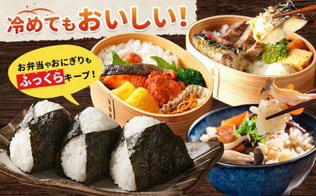 千葉ふるさと米 5kg《1月中旬-2月末頃出荷》米 ブレンド米