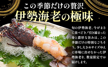 数量限定 訳あり 活〆冷凍 伊勢海老 500g前後(1～2尾) 寺田水産【配送不可地域あり】（離島）