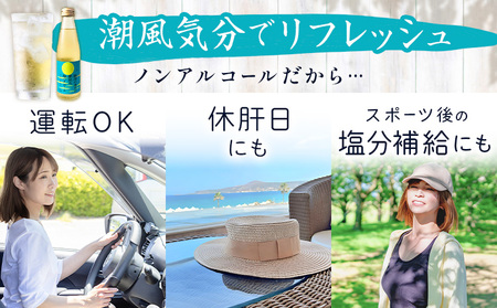 塩ハイボール 24本 勝浦の満月に夢見た塩ハイボール 《30日以内に出荷予定(土日祝除く)》 ノンアルコール アルコールフリー 天然海塩 満月の塩 千葉県 勝浦市 MAXIMUS.WORK 株式会社