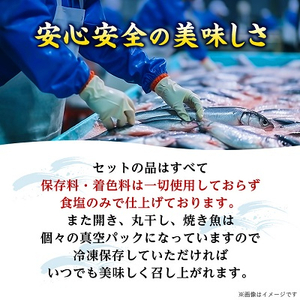 干物・焼魚・塩辛セット【配送不可地域：離島】【1005341】