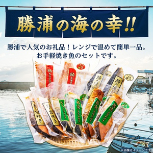 焼き魚セット【配送不可地域：離島】【1008364】