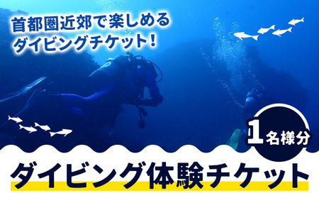 体験ダイビングチケット 勝浦ダイビング協会《30日以内に出荷予定(土日祝除く)》 7,500円