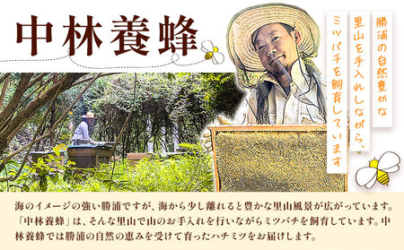 勝浦産 非加熱の 生ハチミツ(430g) ハチミツスプーン付き《90日以内に出荷予定(土日祝除く)》