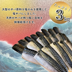 【訳あり】勝浦市の人気の海鮮お礼品 無添加 塩サバ 3kg【配送不可地域：離島】【1240161】