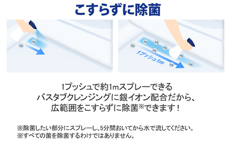 お風呂用洗剤 ルックプラス バスタブクレンジング 銀イオンプラス 本体＋詰め替え用3袋 ライオン LION セット 日用品 消耗品 おふろ バスタブ 浴槽 掃除 除菌 洗浄 詰替え 石鹸 ギフト 市原市