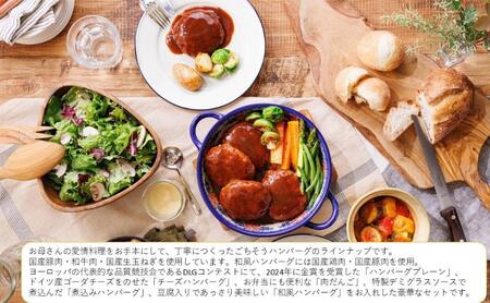 マンマハンバーグバラエティBOX ハンバーグ 温めるだけ 簡単 レトルト 冷蔵 食べ比べ 湯せん 個包装 市原市 千葉県