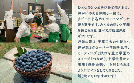 洋菓子 【第2クローバー学園】手作りにこだわったギフトB お菓子 焼き菓子 セット マドレーヌ クッキー マフィン ムラング フィナンシェ フロランタン ジャム 市原市 千葉県