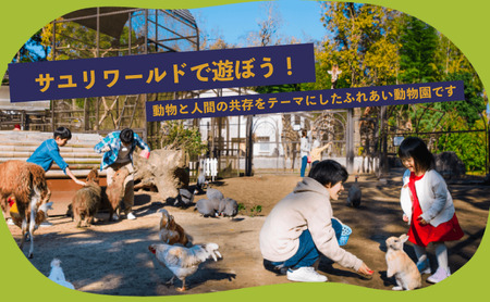 市原ぞうの国 ペア 招待券 + 動物のおやつ 1つセット 動物園 | 千葉県