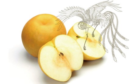 生搾り 梨の秘傳（醸造酢）２本セット たれ ドレッシング 果実酢 