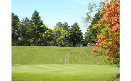 ゴルフ場 千葉 ちばパブ CPGカントリークラブ セルフプレー昼食付ご招待券 平日 1名様 2枚 ゴルフ 関東 チケット ゴルフ場利用券 プレー券 施設利用券 