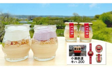 2種のプレミアムチーズケーキCYOBi 5個セット
