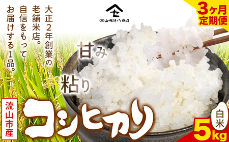コシヒカリ 米 5kg 新川耕地 白米 定期便3ヶ月