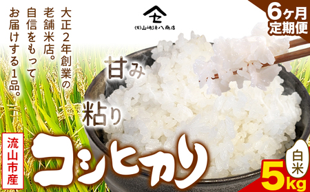 コシヒカリ 米 5kg 新川耕地 白米 定期便6ヶ月
