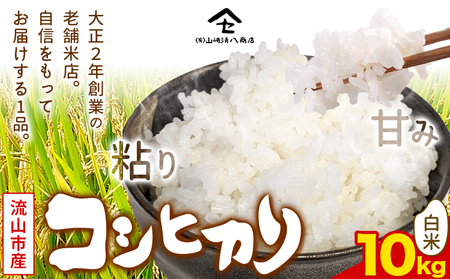コシヒカリ 米 10kg 新川耕地 白米 単発