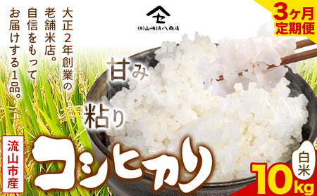 コシヒカリ 米 10kg 新川耕地 白米 定期便3ヶ月