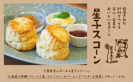 星子スコーン 行列ができる スコーン 詰め合わせ 3種 9個