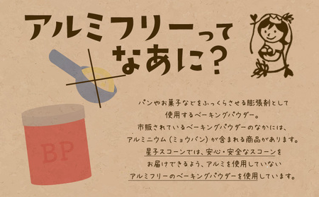 星子スコーン 行列ができる スコーン 詰め合わせ 3種 9個