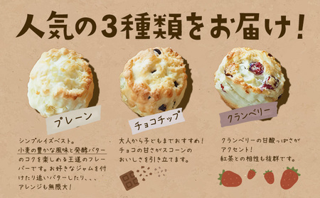 星子スコーン 行列ができる スコーン 詰め合わせ 3種 9個