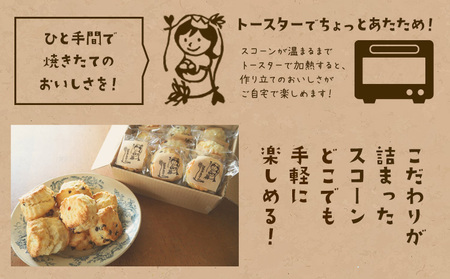 星子スコーン 行列ができる スコーン 詰め合わせ 3種 9個