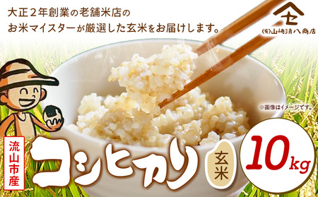 米 コシヒカリ 新川耕地・減農薬コシヒカリ 玄米 10kg