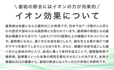 電動歯ブラシ 替え IONPA専用 抗菌極細毛 替えブラシ セット 24本 アイオニック 《30日以内に出荷予定(土日祝除く)》千葉県 流山市 送料無料 イオンパ 抗菌 極細 ブラシ イオン