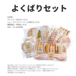 ハム ソーセージ よくばりセット 容量：11~14点程 豚肉 ハム ソーセージ ウィンナー 加工品 燻製 福袋 Umami