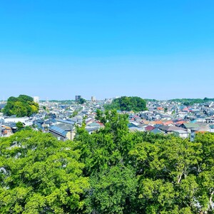 【返礼品なし】流山市ふるさと納税寄附金
