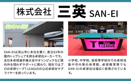 卓球バレー 卓球ホッケーに最適 レクタク 株式会社三英《受注生産のため、1～2ヶ月程で発送》 千葉県 流山市 卓球台 卓球ネット 卓球 部活 卓球ホッケー st-p