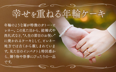 お菓子 ガトーピレネー ホール パティスリーレタンプリュス